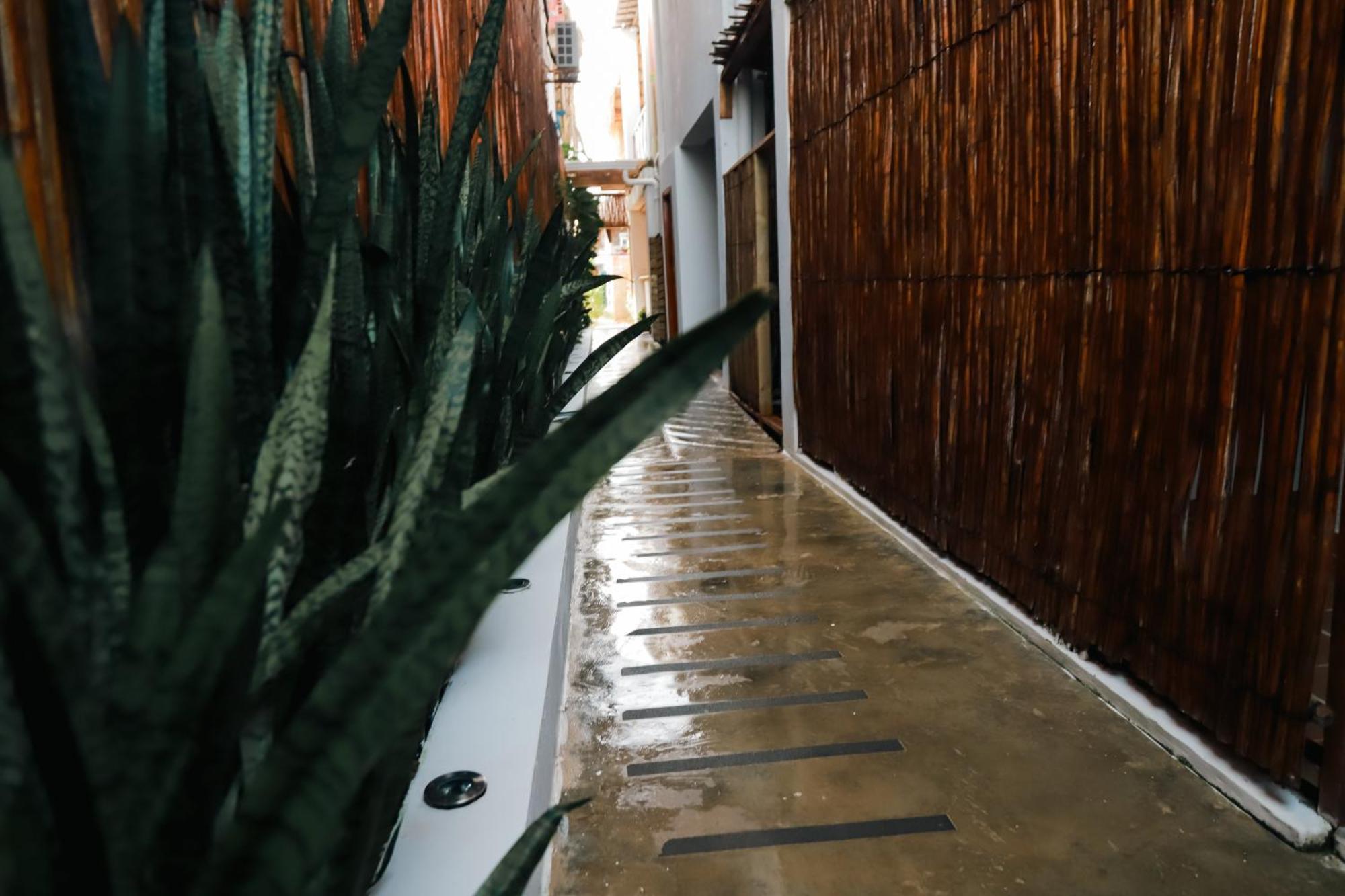 Hostal Casa En La Cienaga Rincon Del Mar Zewnętrze zdjęcie